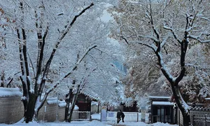 Khách Việt 'phấn khích' với tuyết đầu mùa ở Seoul