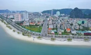 Gợi ý ăn ở, đi lại và khám phá cho runner đến Hạ Long