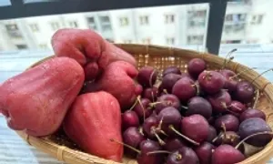 5 trái cây tốt cho tuyến giáp nên ăn thường xuyên