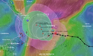 Bão Koto mạnh lên cấp 12